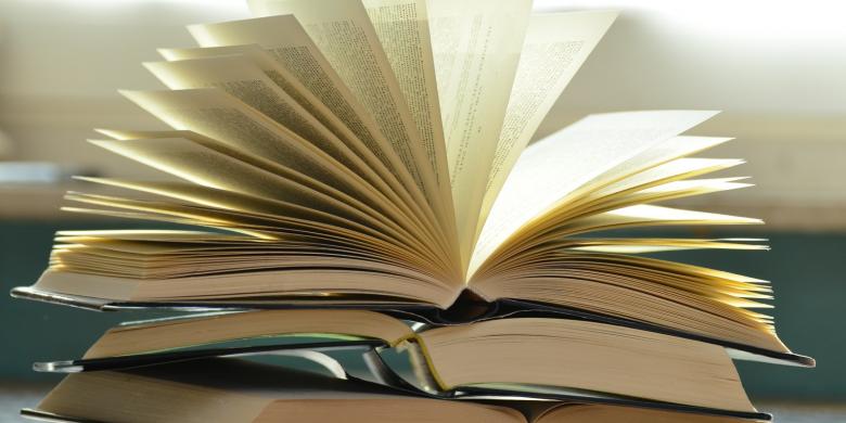 IMISCOE Competitive Call for Book Proposals