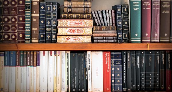 SIRIUS Second Policy Brief